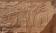 Botanical scene in the Festival Temple