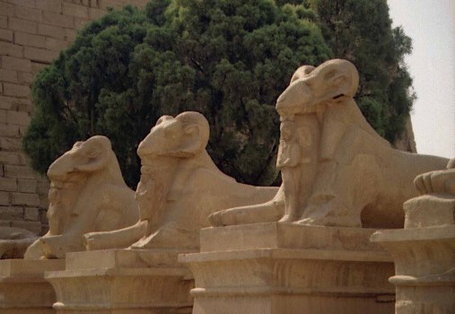 Ram-headed Sphinxes