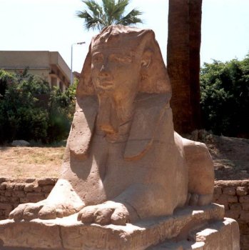 Human-headed Sphinx